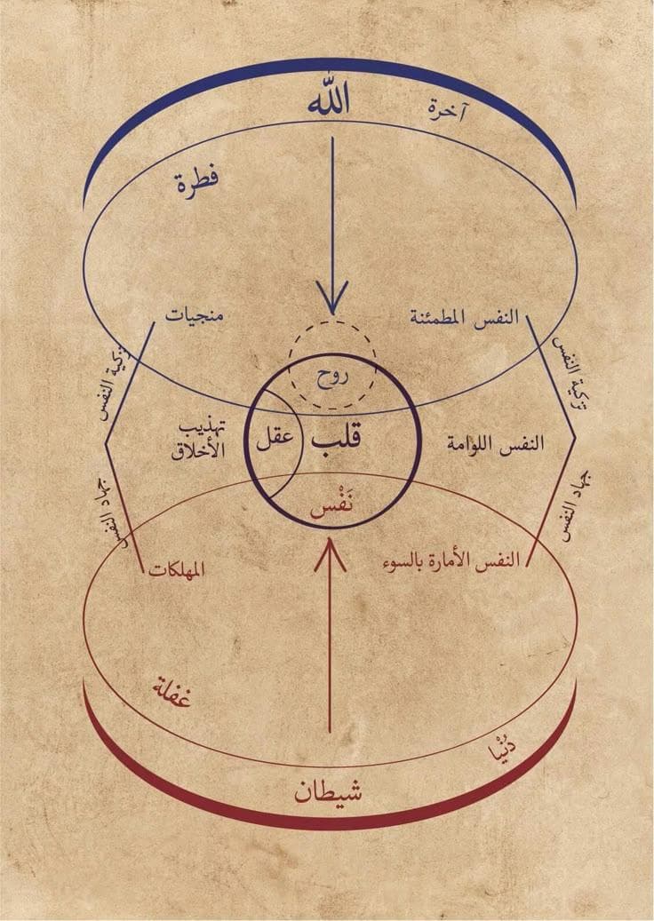 شبهات تحت المجهر